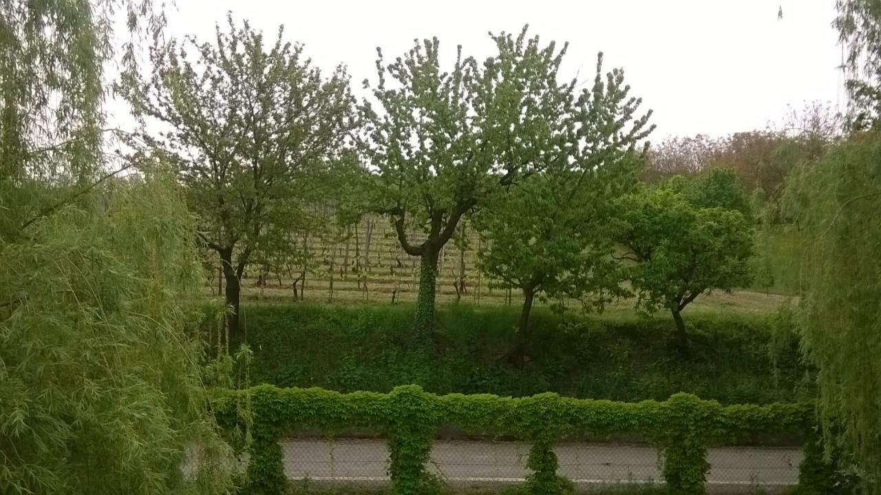 Agriturismo Cascina Barin Roddi Zewnętrze zdjęcie